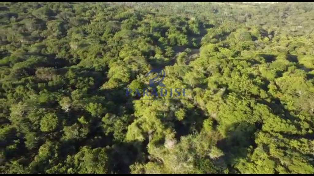 Área em Camaçari, no bairro Barra do Pojuca