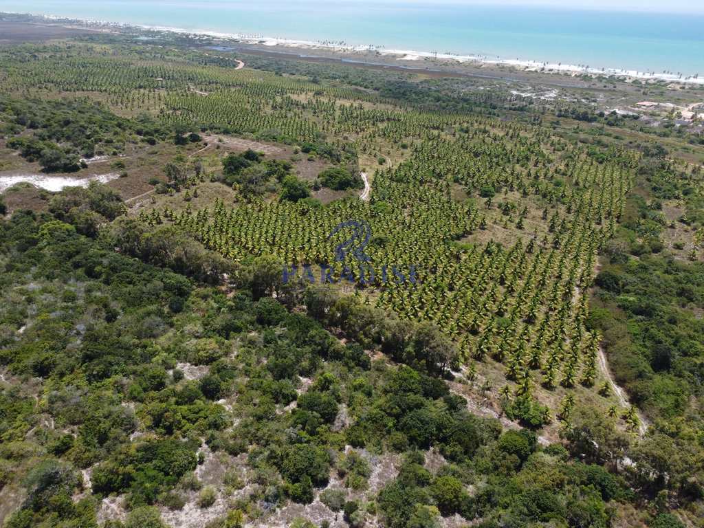 Fazenda em Conde, no bairro Barra de Itariri