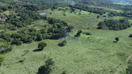 Fazenda, código 68783 em Entre Rios, bairro Zona Rural