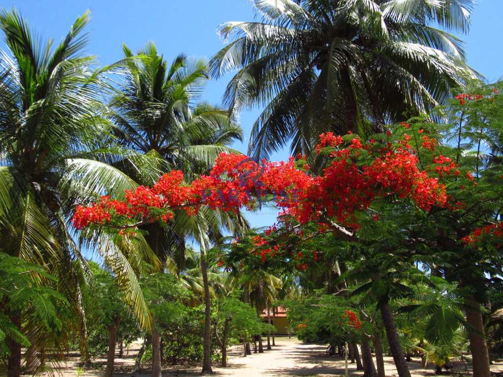 Área em Conde, no bairro Barra de Itariri