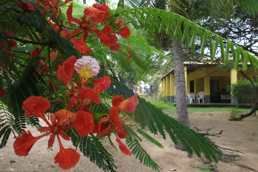 Área em Conde, no bairro Barra de Itariri