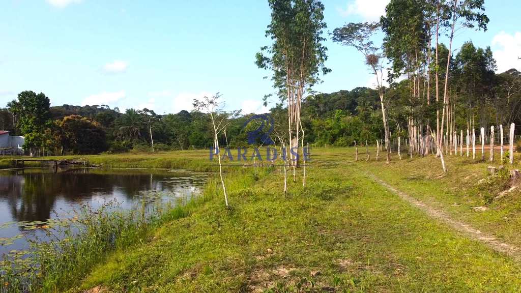 Sítio em Itanagra, no bairro Zona Rural