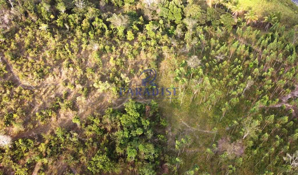 Sítio em Itanagra, no bairro Zona Rural