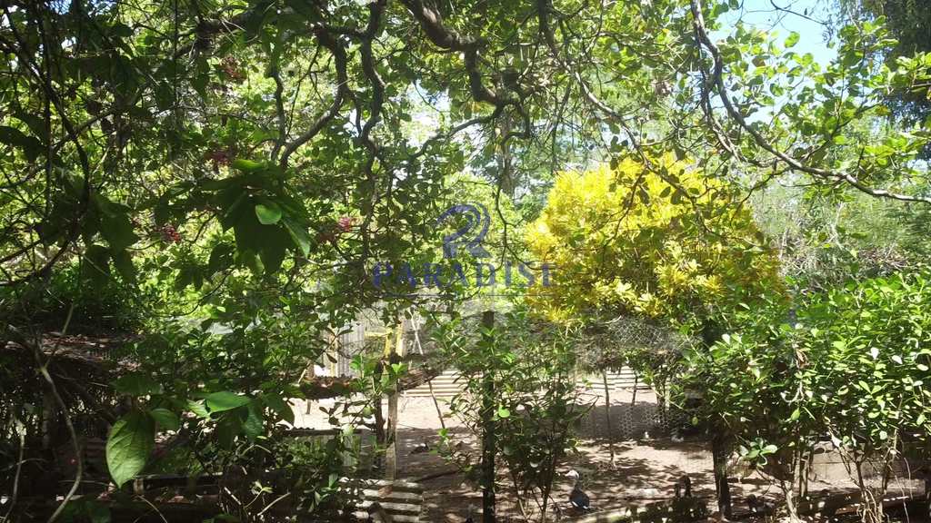 Sítio em Camaçari, no bairro Barra do Pojuca