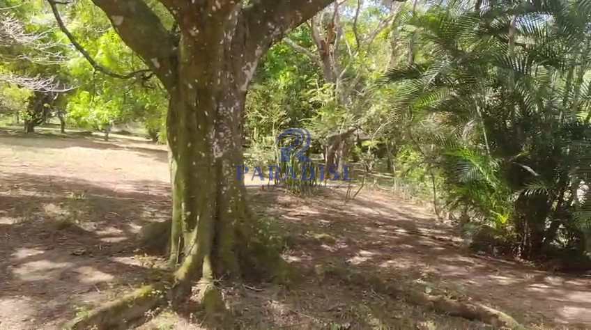 Sítio em Camaçari, no bairro Barra do Pojuca