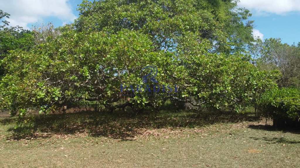 Sítio em Camaçari, no bairro Barra do Pojuca
