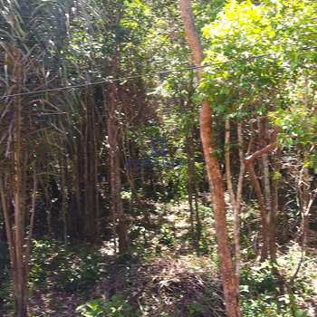 Terreno em Mata de São João, bairro Açu da Torre