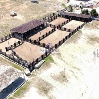 Fazenda em Lajedinho, bairro Centro