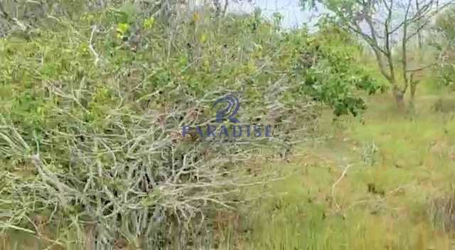 Área em Camaçari, no bairro Centro
