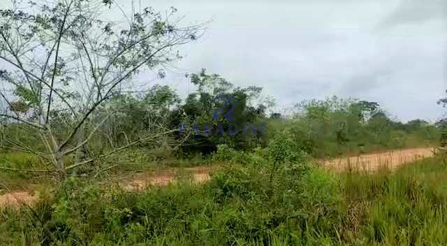 Área em Camaçari, no bairro Centro