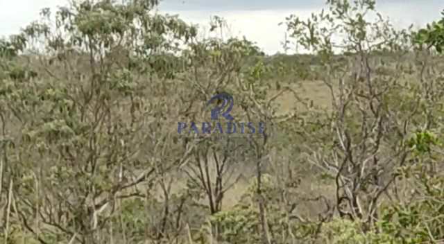 Área em Camaçari, no bairro Centro