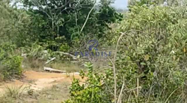 Área em Camaçari, no bairro Centro