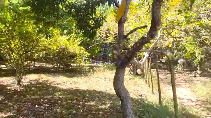 Sítio em Camaçari, no bairro Barra do Pojuca