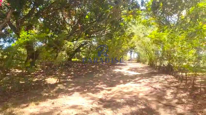 Sítio em Camaçari, no bairro Barra do Pojuca