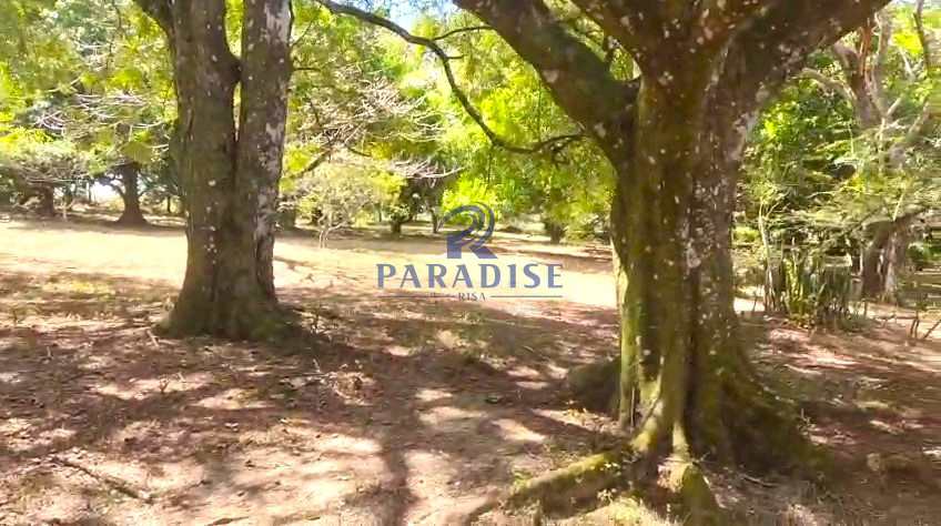 Sítio em Camaçari, no bairro Barra do Pojuca