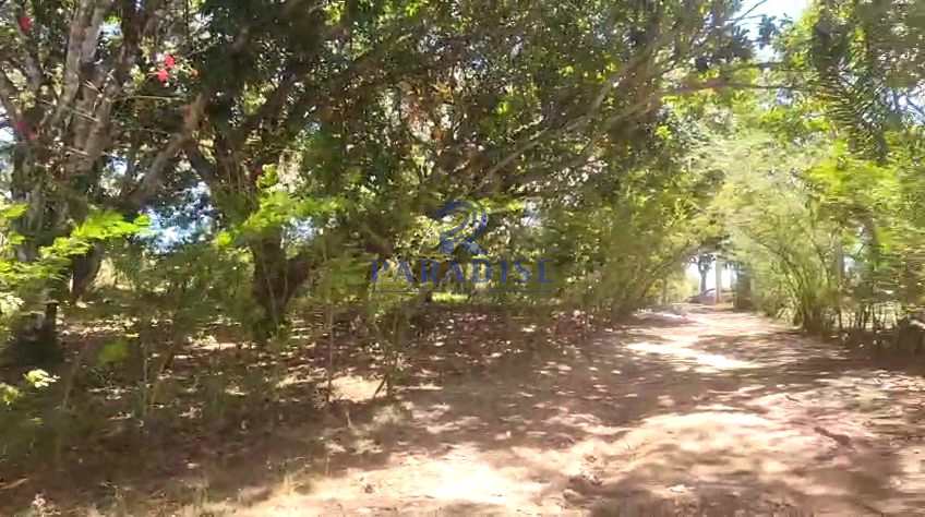 Sítio em Camaçari, no bairro Barra do Pojuca