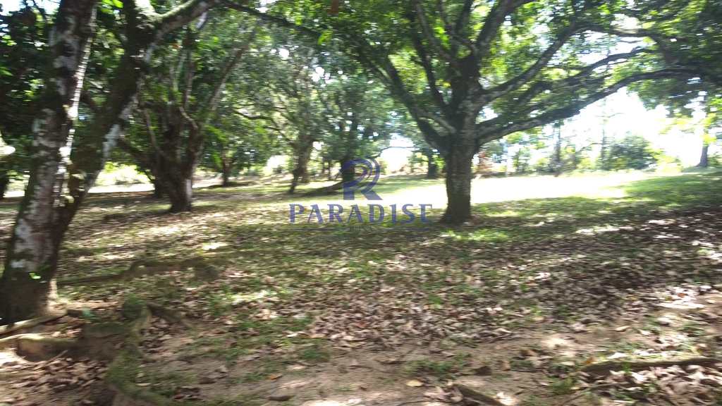 Sítio em Camaçari, no bairro Barra do Pojuca