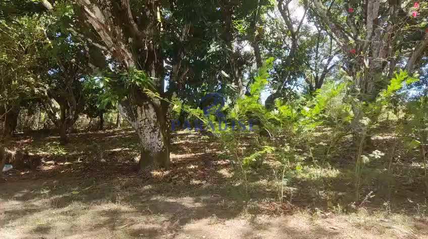 Sítio em Camaçari, no bairro Barra do Pojuca