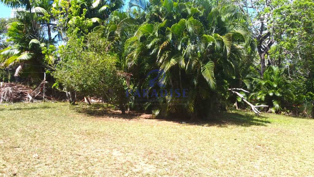 Sítio em Camaçari, no bairro Barra do Pojuca