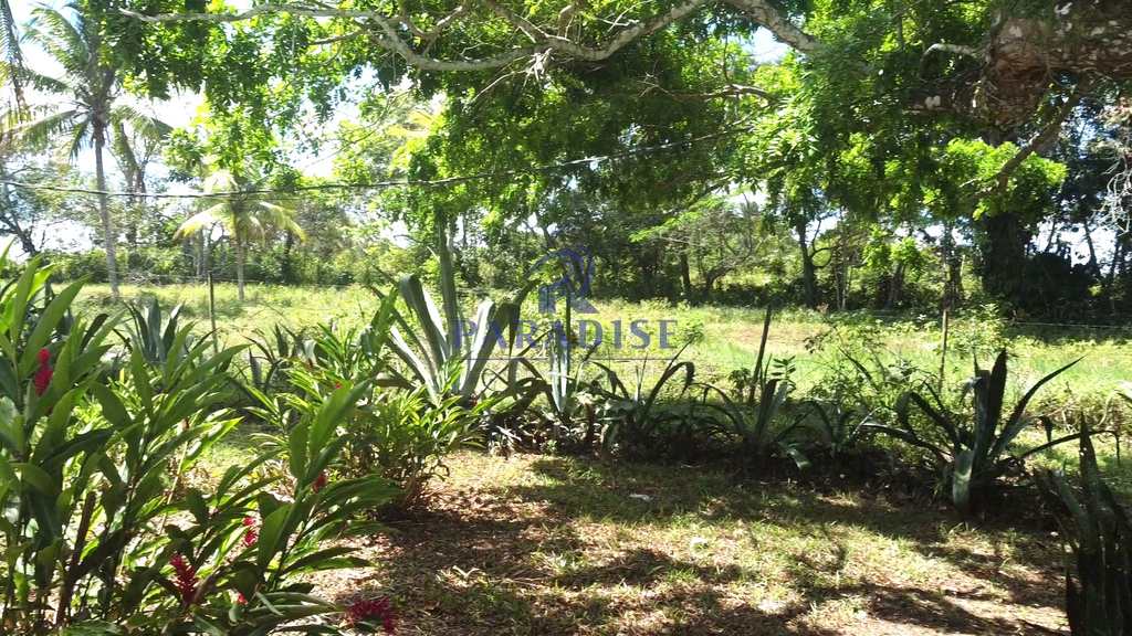 Sítio em Camaçari, no bairro Barra do Pojuca