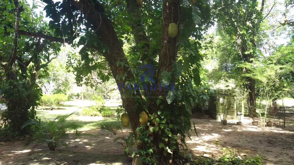 Sítio em Camaçari, no bairro Barra do Pojuca