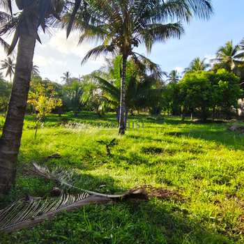 Área em Mata de São João, bairro Açu da Torre