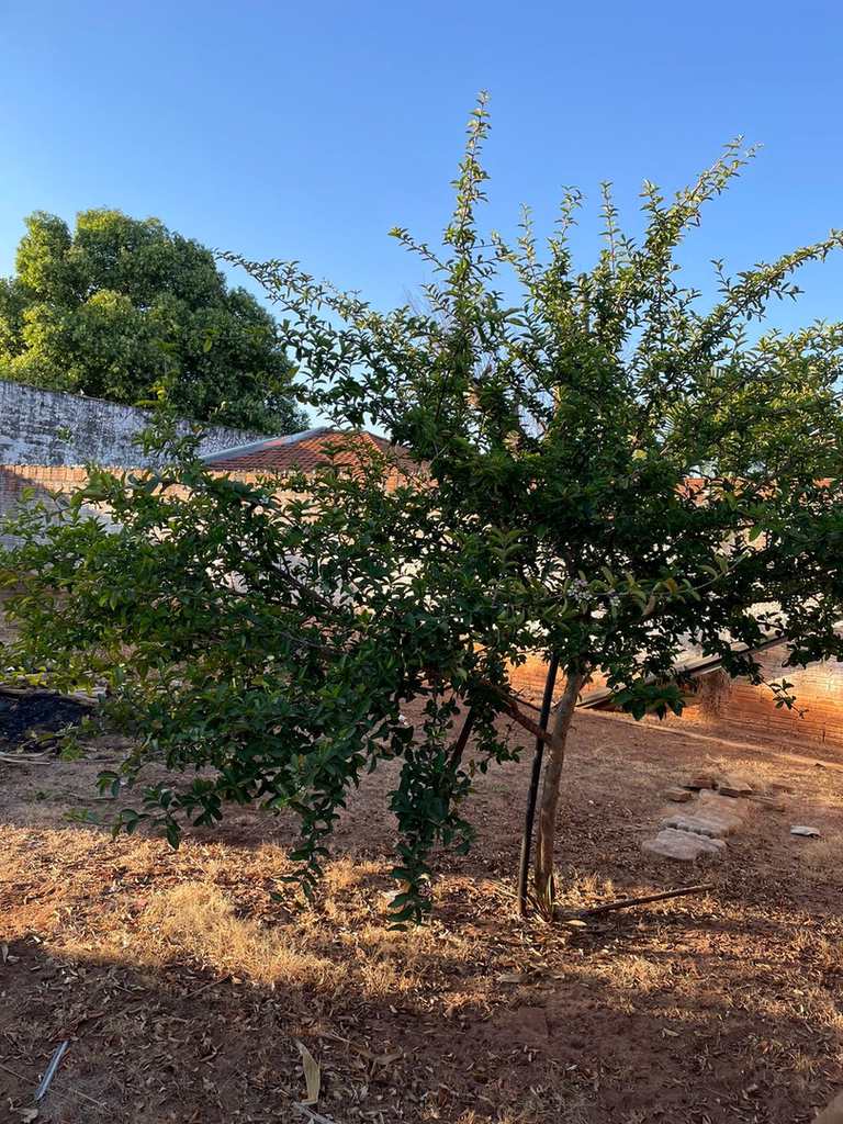 Casa em Jales, no bairro Jardim Paraíso