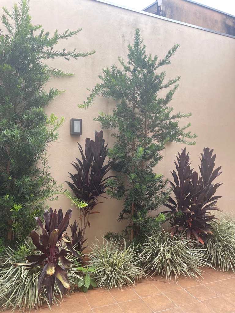 Casa em Jales, no bairro Jardim Santo Expedito