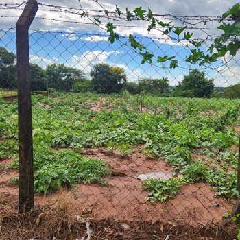 Terreno em Jales, bairro Aeroporto