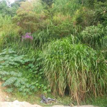 WhatsApp Image 2018-02-15 at 08.56.03 (1)