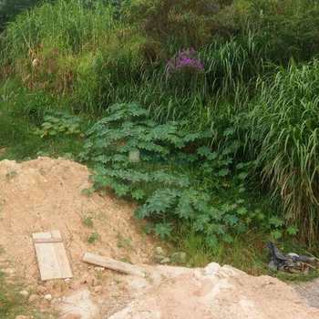 WhatsApp Image 2018-02-15 at 08.56.03 (2)