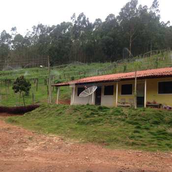 WhatsApp Image 2018-03-18 at 18.52.37 (1)