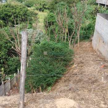 WhatsApp Image 2018-06-05 at 08.38.52