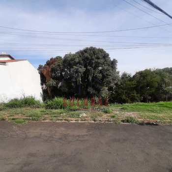 Terreno em Amparo, bairro Jardim Alberto