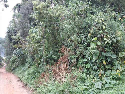 Terreno, código 778 em Itapecerica da Serra, bairro Itaquaciara
