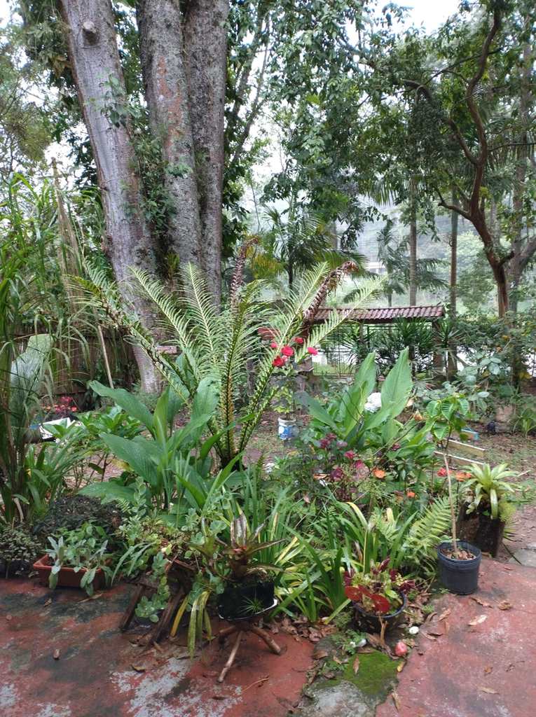 Casa em Itapecerica da Serra, no bairro Itaquaciara