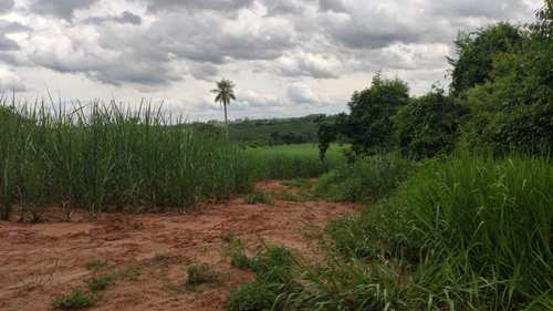Sítio, código 2 em Barretos, bairro Área Rural de Barretos