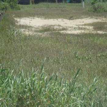 Terreno em Mongaguá, bairro Centro