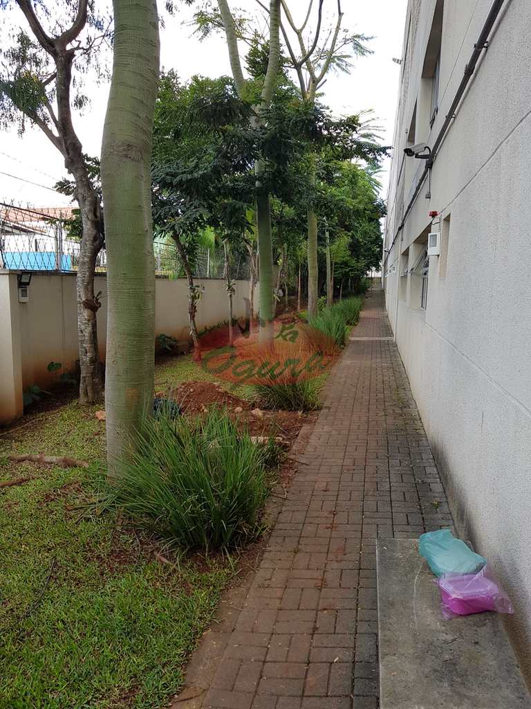 Apartamento em São Paulo, no bairro Jardim Monte Kemel