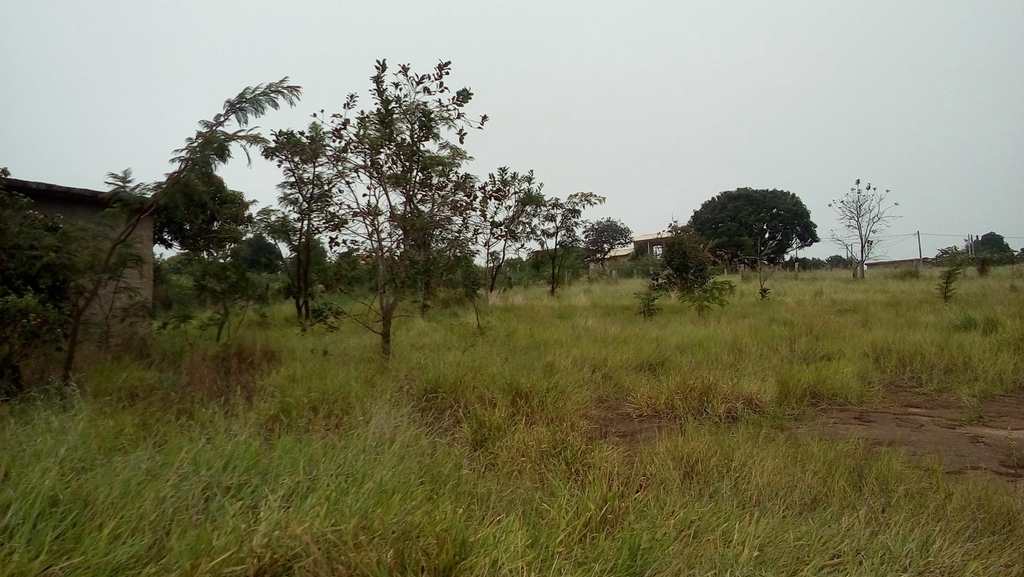 Loteamento Rural em Pardinho, no bairro Centro