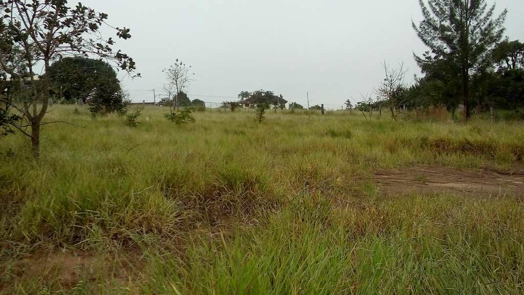 Loteamento Rural em Pardinho, no bairro Centro