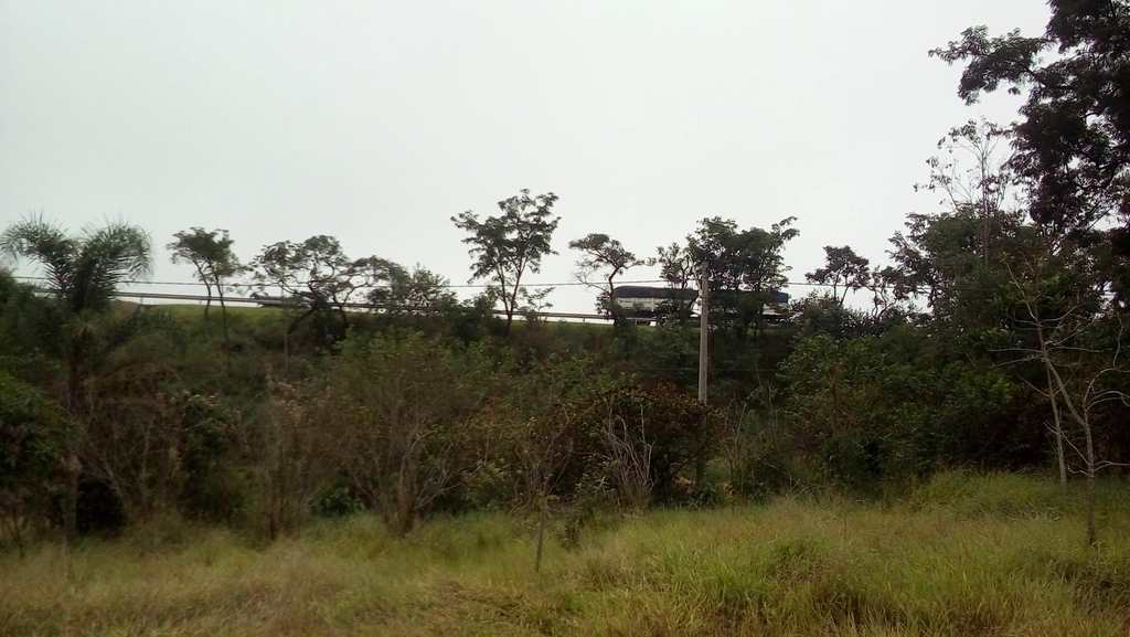 Loteamento Rural em Pardinho, no bairro Centro