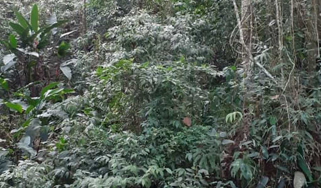 Terreno em Ribeirão Pires, bairro Quarta Divisão