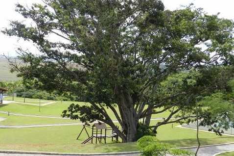 Casa de Condomínio em Bragança Paulista, no bairro Condomínio Residencial Campos do Conde
