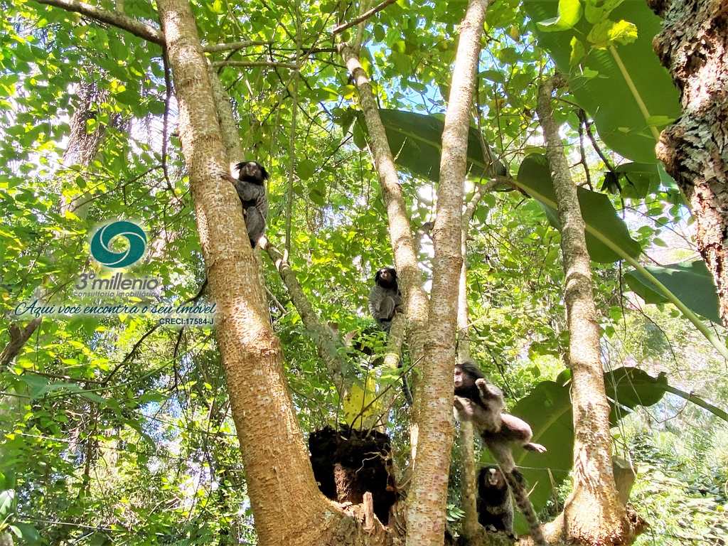 Casa em Cotia, no bairro Vila Hortência