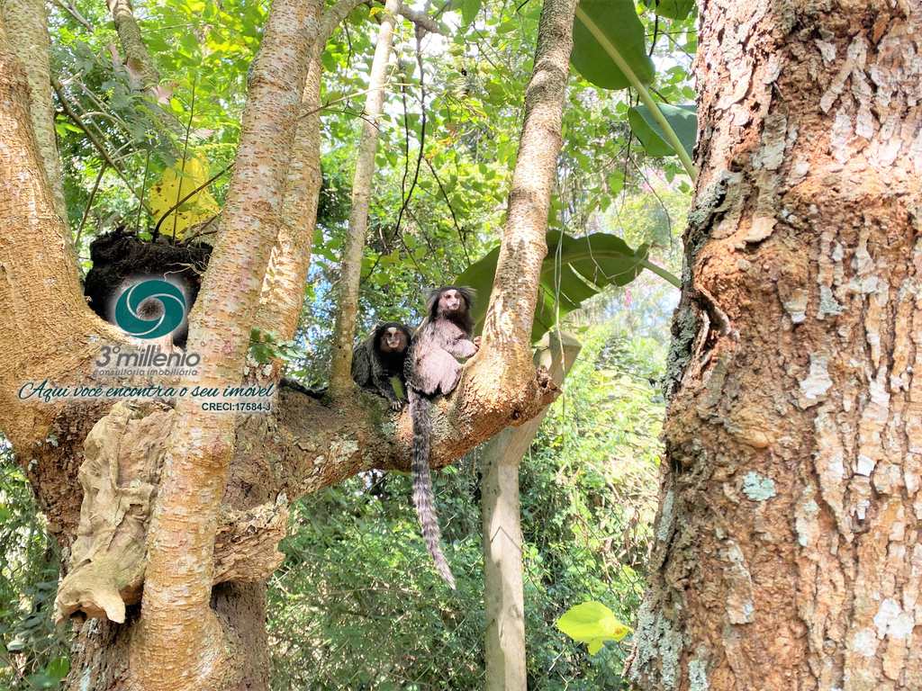 Casa em Cotia, no bairro Vila Hortência