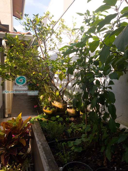 Casa em Cotia, no bairro Jardim Colibri