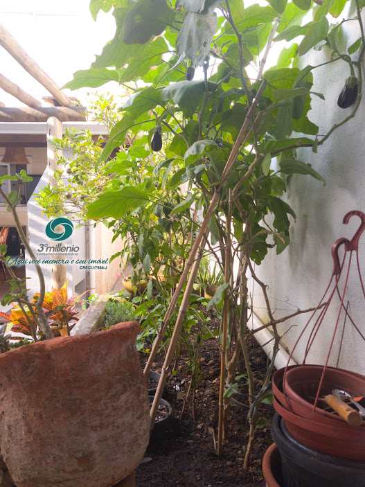 Casa em Cotia, no bairro Jardim Colibri