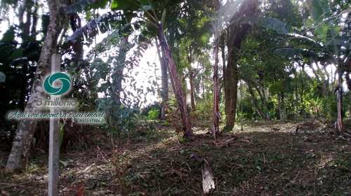 Terreno, código 32234 em Cotia, bairro Jardim Colibri