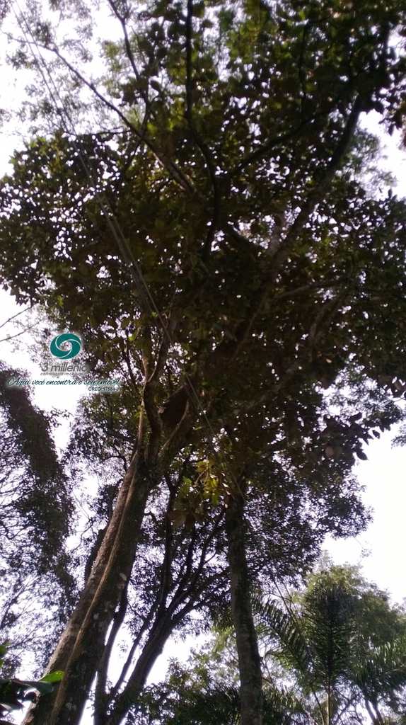 Terreno em Cotia, no bairro Jardim Colibri